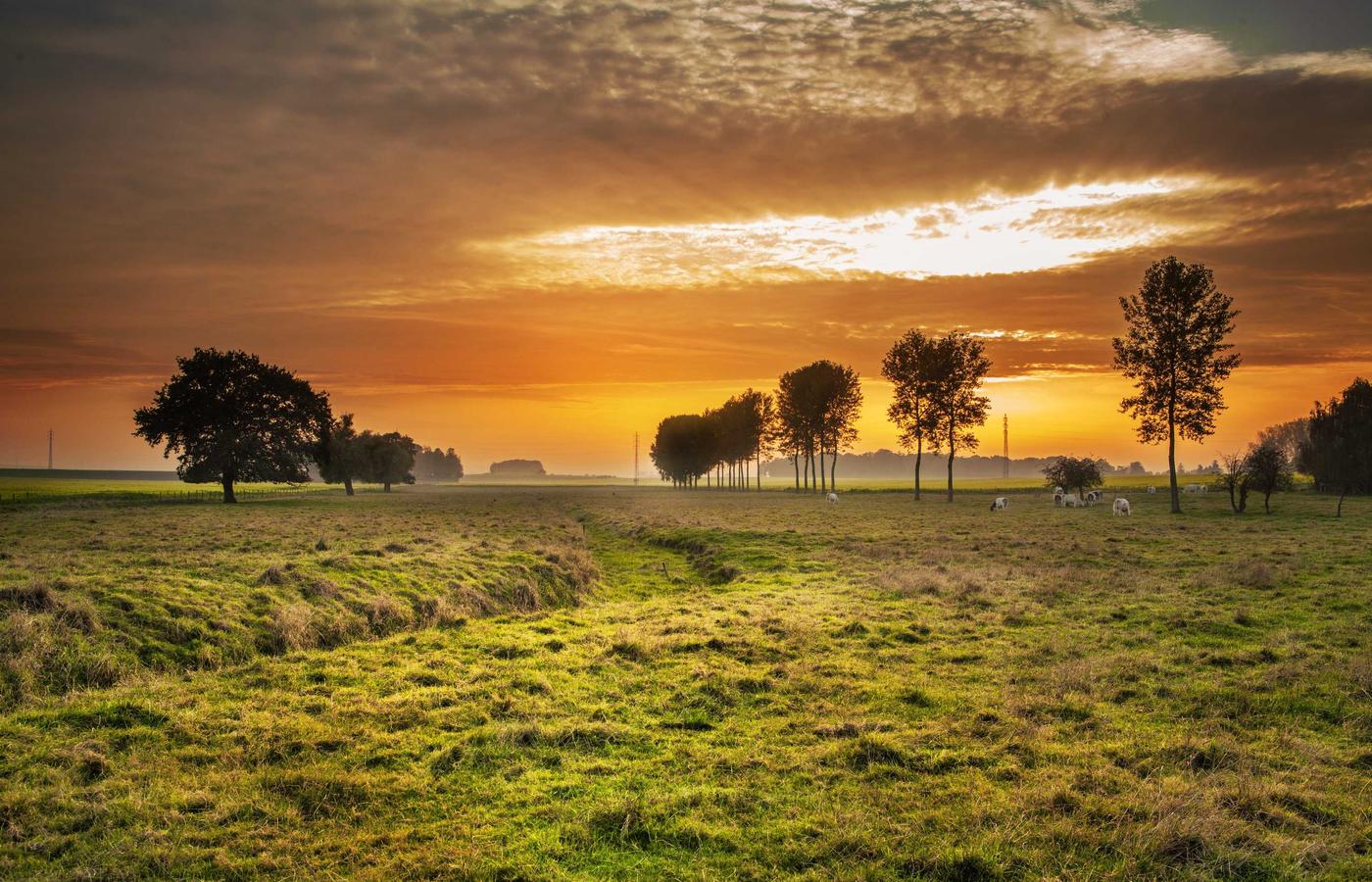 Жанар К. суреті